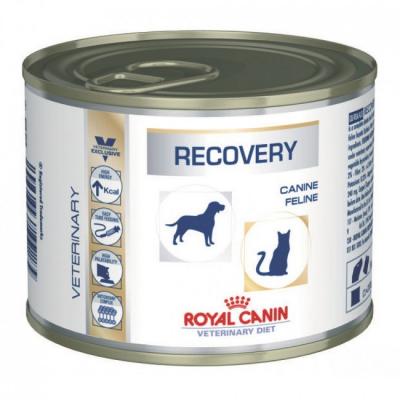 Корм для кошек Royal Canin RECOVERY CANINE/FELINE 195 г. купить в Новокузнецке недорого с доставкой