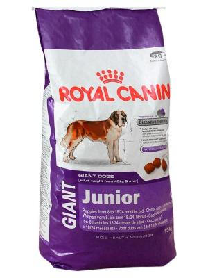 Корм для собак Royal Canin GIANT JUNIOR 15000 г. купить в Новокузнецке недорого с доставкой