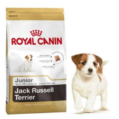 Корм для собак Royal Canin JACK RUSSEL TERRIER JUNIOR 1500 г. купить в Новокузнецке недорого с доставкой