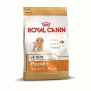 Корм для собак Royal Canin POODLE JUNIOR 500 г. купить в Новокузнецке недорого с доставкой
