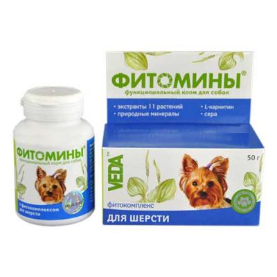 Витамины Фитомины таблетки для собак для шерсти и кожи 100 шт купить в Новокузнецке недорого с доставкой