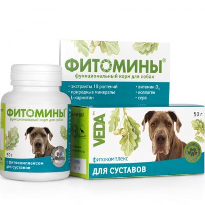 Витамины Фитомины таблетки для собак для укрепления суставов 100 шт купить в Новокузнецке недорого с доставкой